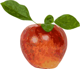 Apfel