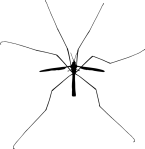 schneider-kunstlicht